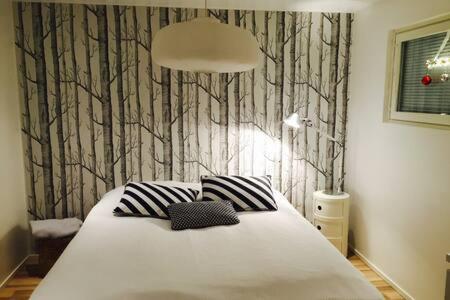 Scandinavian Style Villa Rovaniemi Dış mekan fotoğraf